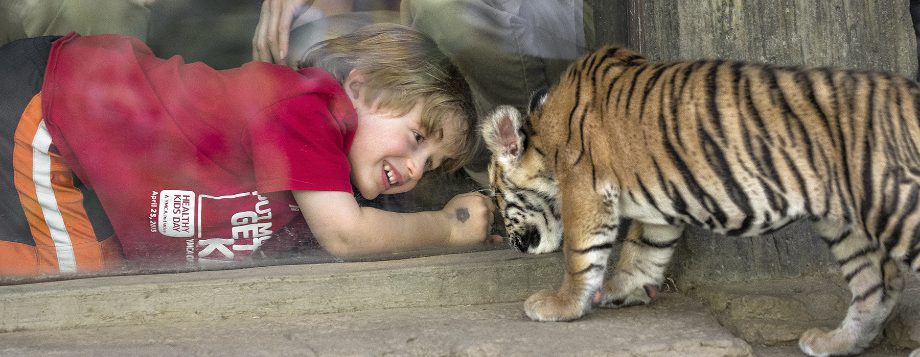 Животные и развлечения. Сафари-парк зоопарка Сан-Диего. Животные не развлечение. Сан Диего сафари парк. Малыш учит животных.