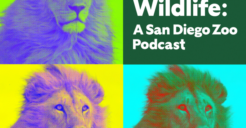 About SDZWA  San Diego Zoo Wildlife Alliance